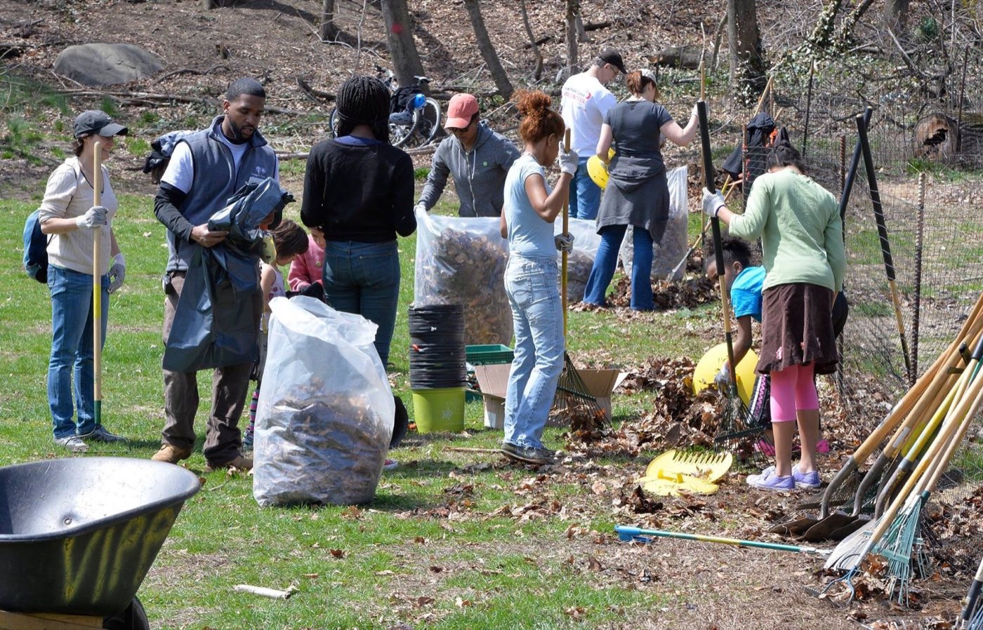 Neighbors raking leaves and filling bags during a park cleanup