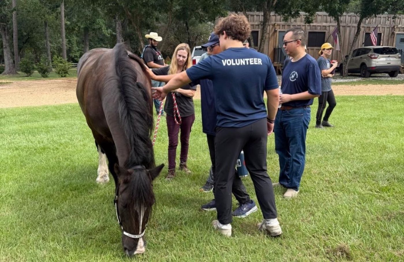 A volunteer meeting a horse at a community animal event