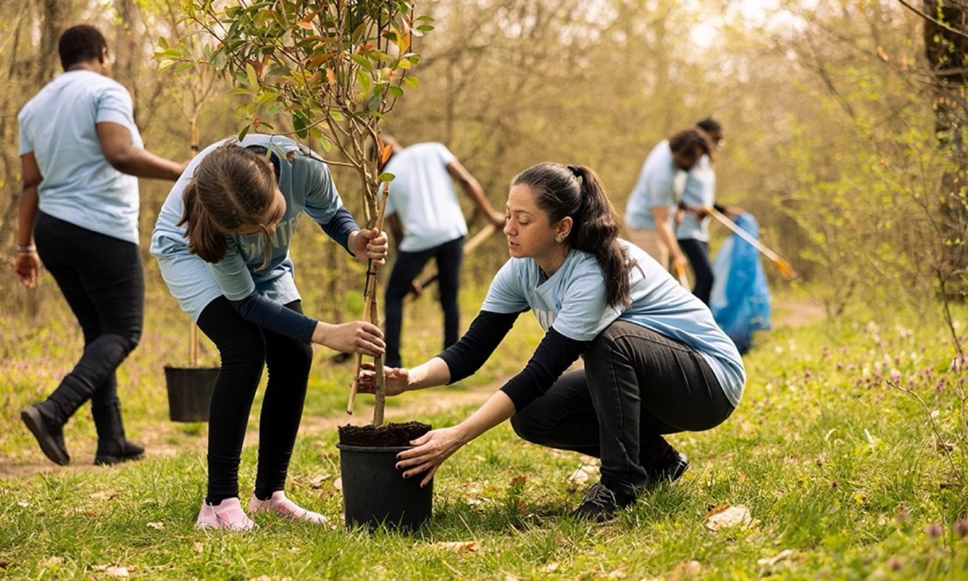 Volunteers planting a young tree together outdoors