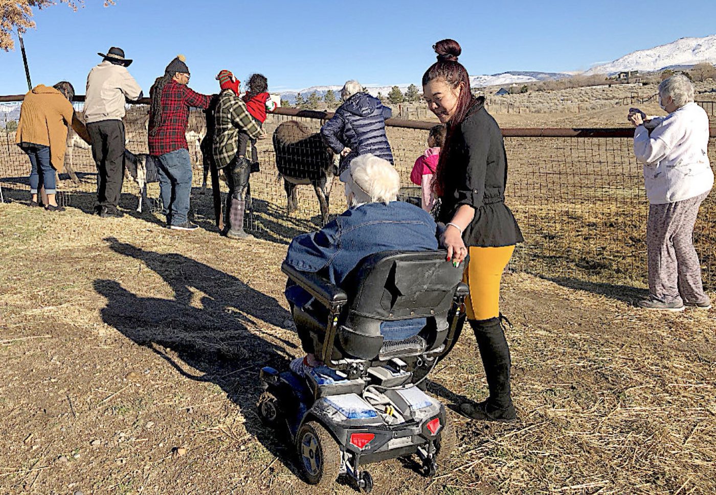 Volunteers and visitors at an outdoor animal sanctuary